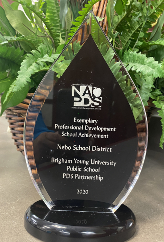 National BYU Partnership Award